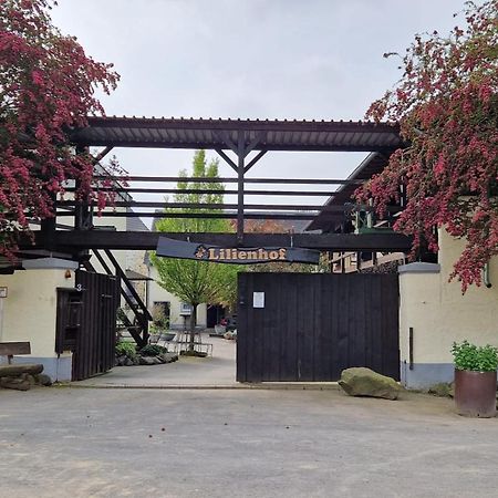 Besondere Ferienwohnung Spirit Auf Idyllischem Reiterhof Nahe Burg Eltz Münstermaifeld المظهر الخارجي الصورة
