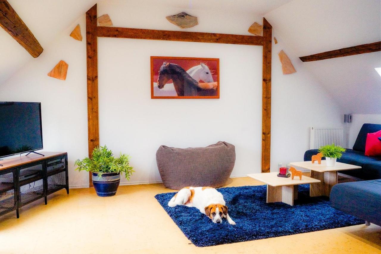 Besondere Ferienwohnung Spirit Auf Idyllischem Reiterhof Nahe Burg Eltz Münstermaifeld المظهر الخارجي الصورة