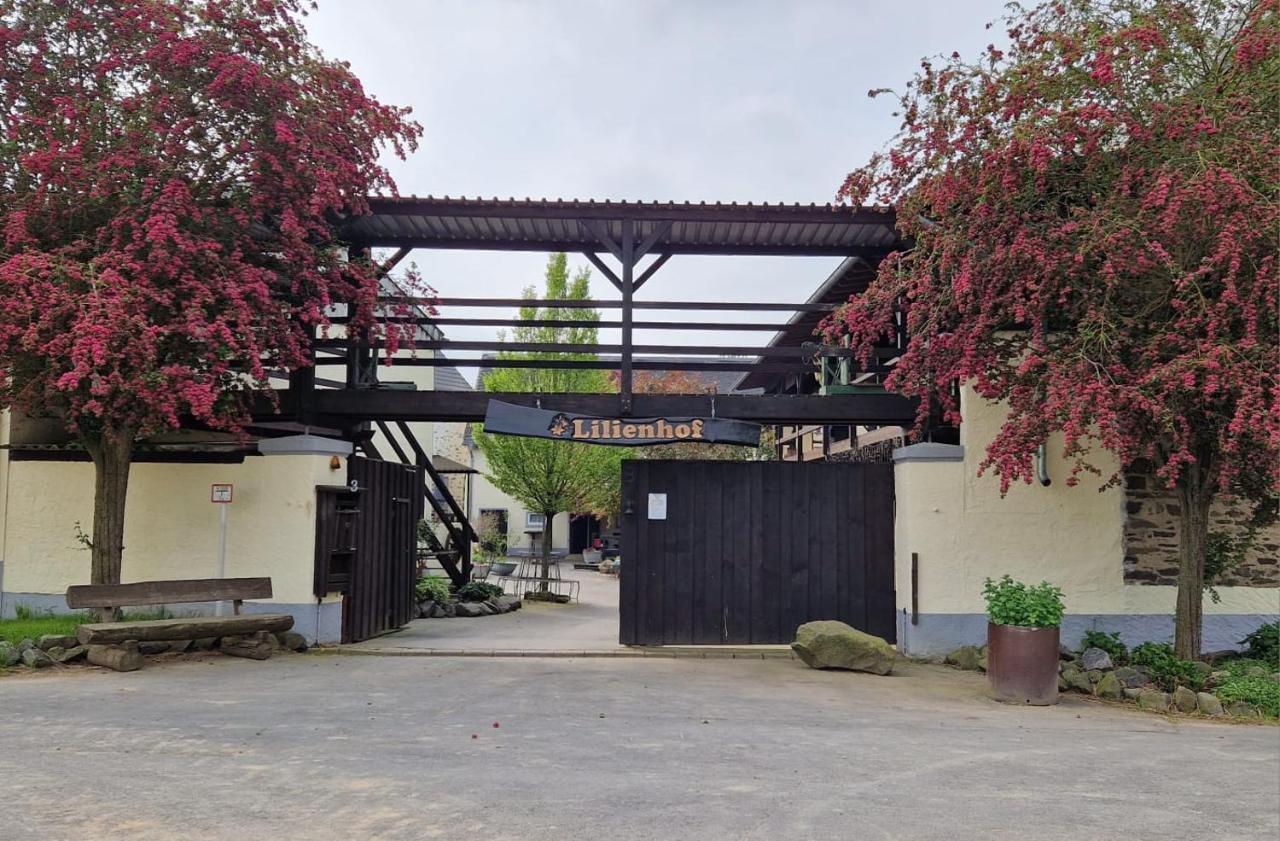 Besondere Ferienwohnung Spirit Auf Idyllischem Reiterhof Nahe Burg Eltz Münstermaifeld المظهر الخارجي الصورة
